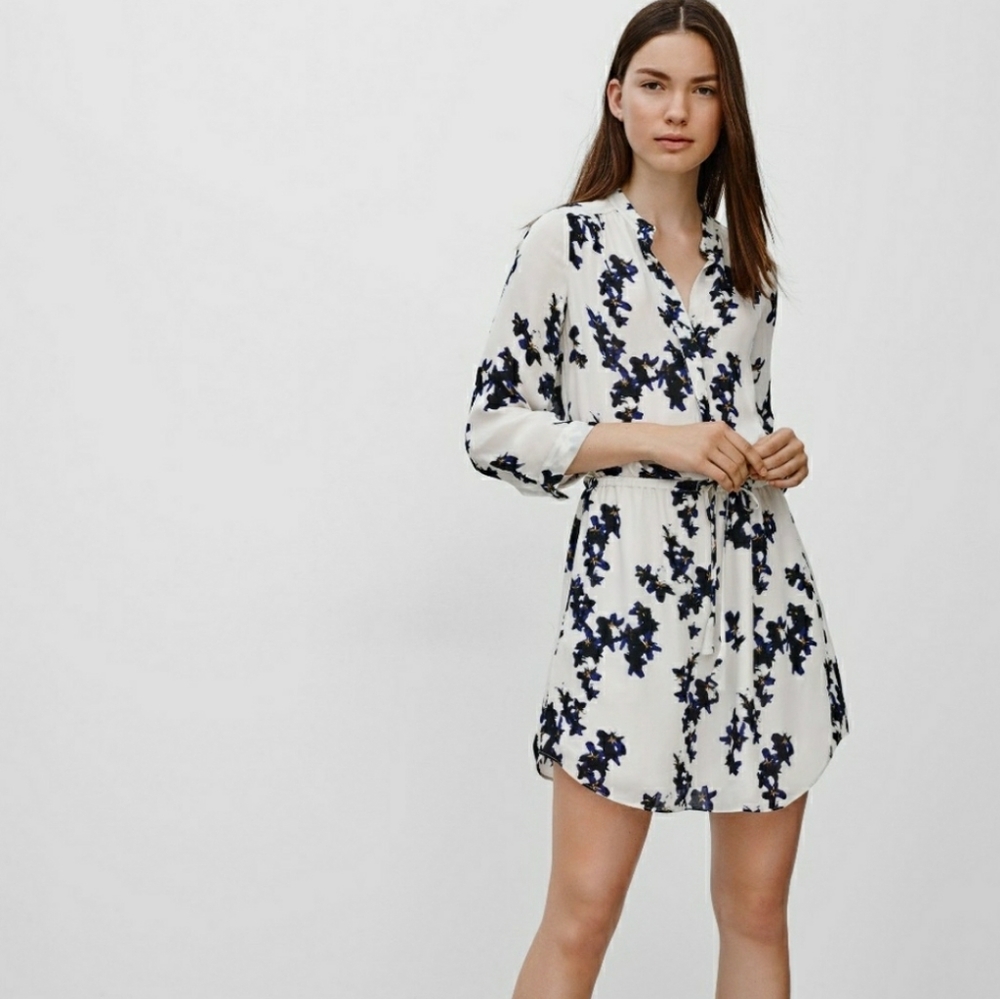Aritzia Babaton Bennette 100% Silk Dress